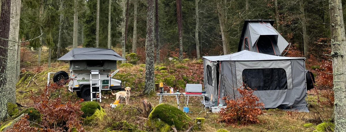 Biler med tagtelte på lejrplads i svensk skov
